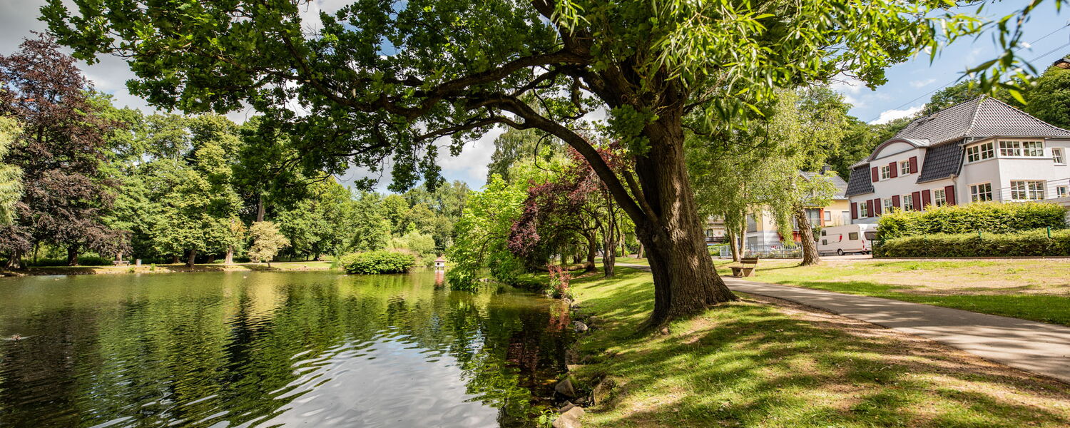 Teich und Uferbäume im Elisabethpark, ganz rechts noch Wohngebäude sichtbar