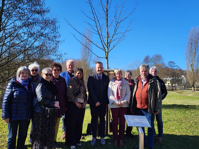 Personengruppe steht vor dem Freundschaftsbaum von Melsungen und Bad Liebenstein im Bad Liebensteiner Neuen Kurpark