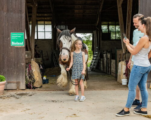 Bioland Bauernhof Lindenhof Meimers mit Pferd, Kind und Eltern