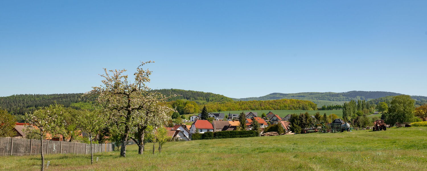 große Wiese mit Obstbäumen am Rand und Blick auf einige Dächer von Meimers, im Hintergrund Berge