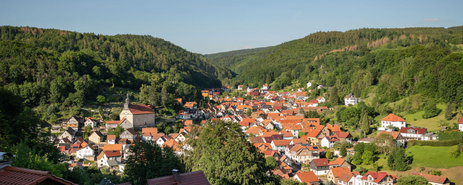 Panoramabild vom Berg aus auf Steinbachs Dachlandschaft